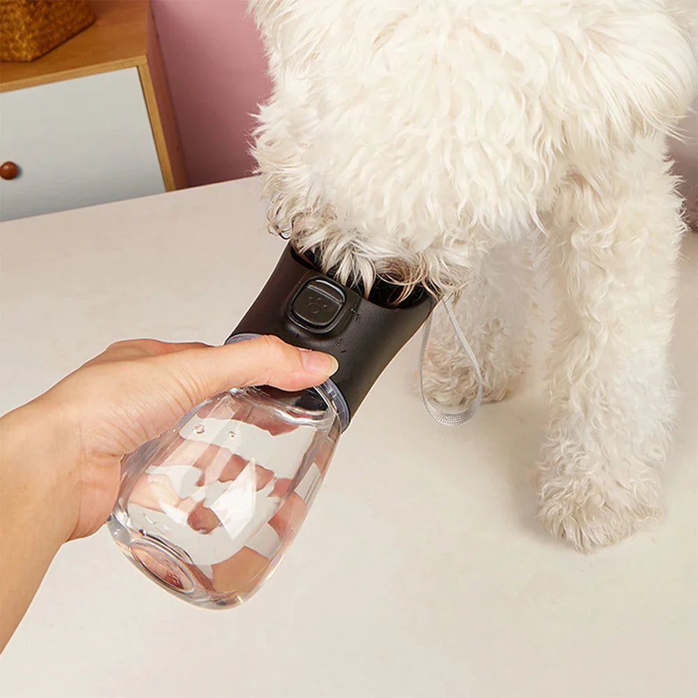 Dog Accessories
