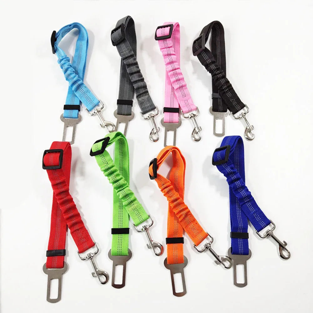 Dogivo™ SafeRide Seat Belt