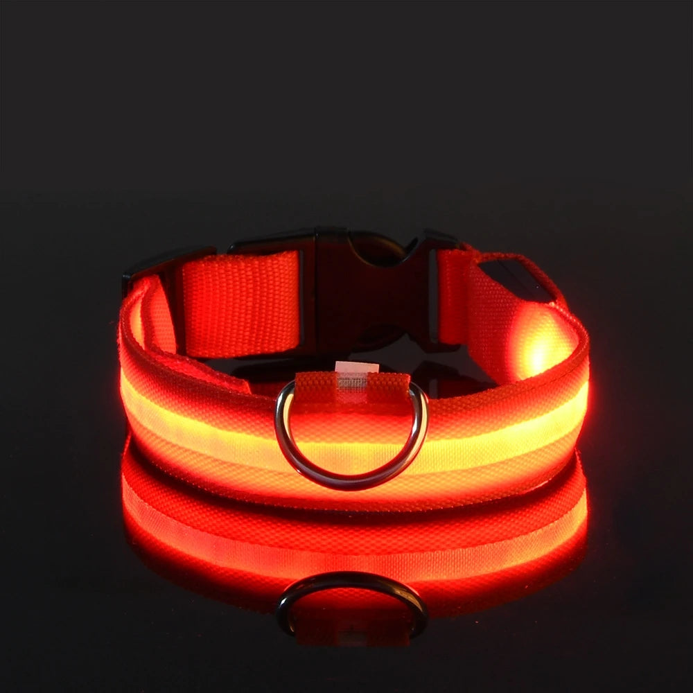 🐶 Dogivo™ Smart LED Dog Leash