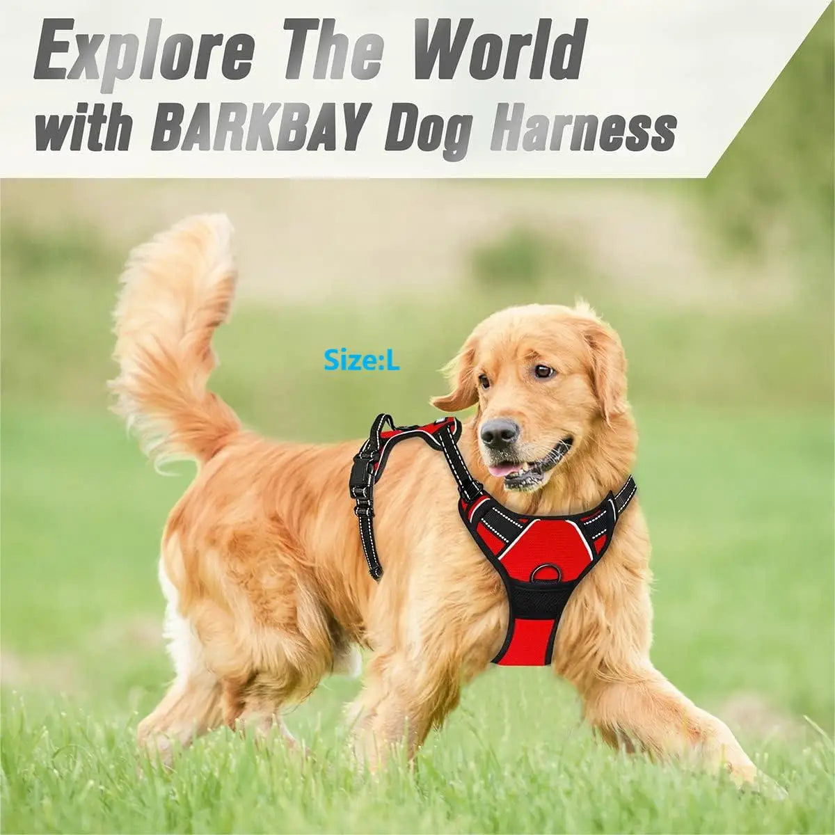 Arnés de Aventura Dogivo™