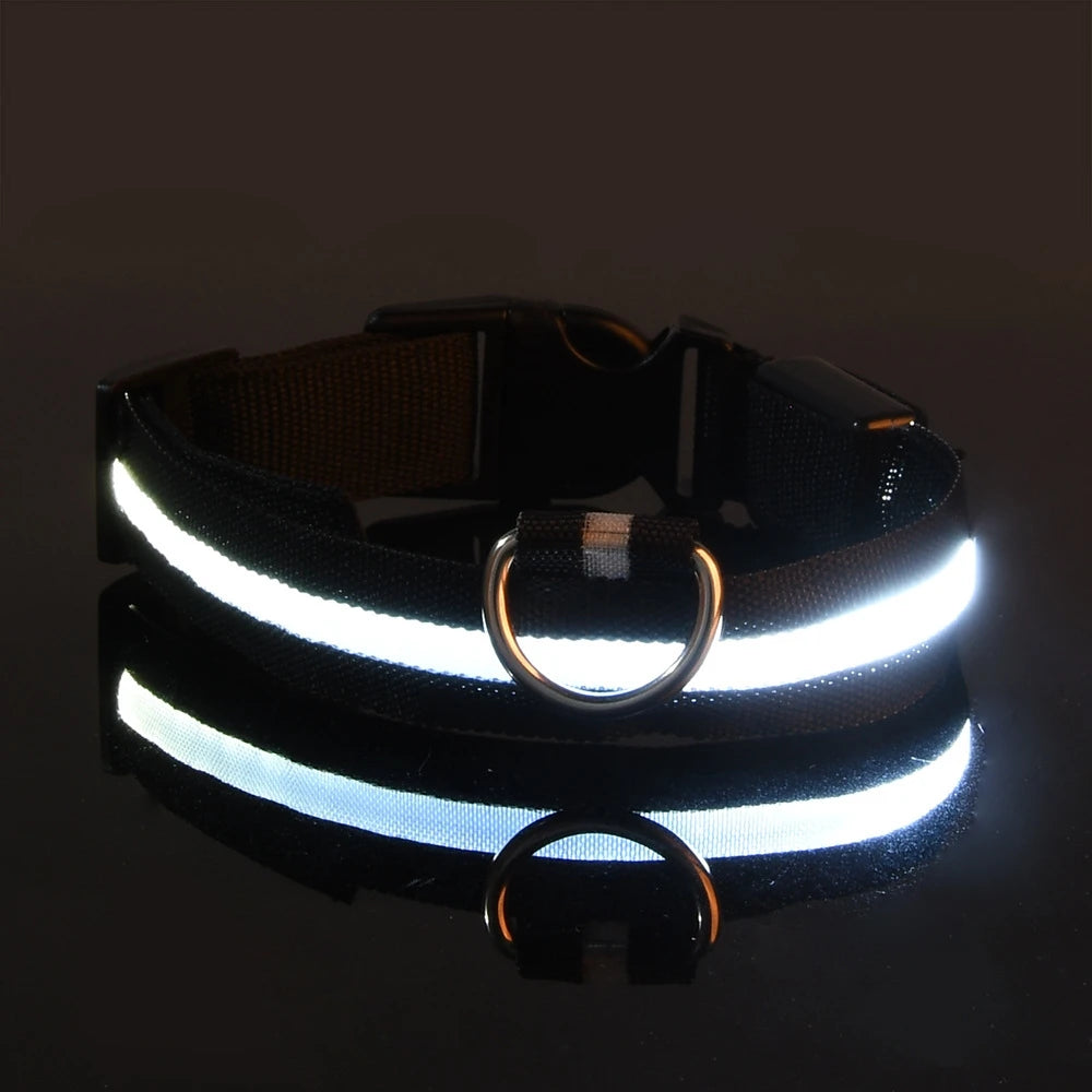 🐶 Dogivo™ Smart LED Dog Leash