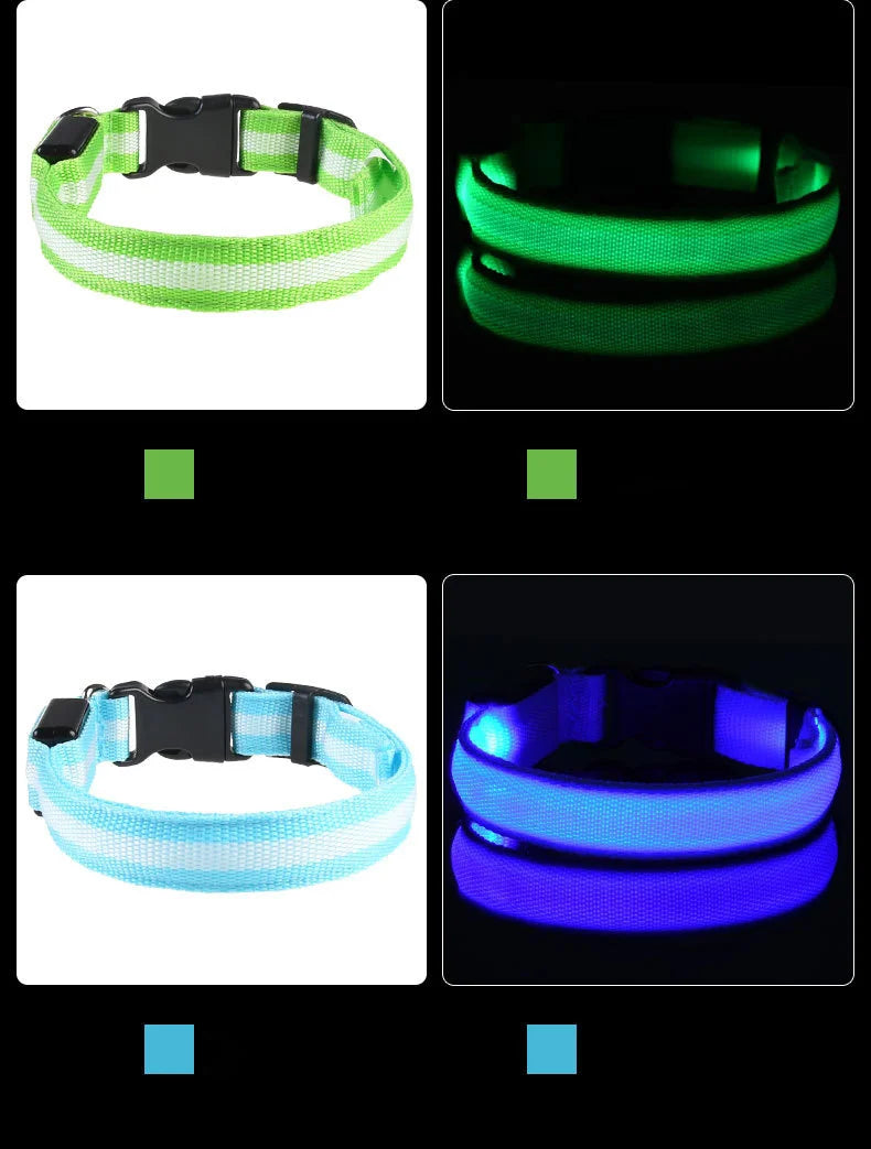 🐶 Dogivo™ Smart LED Dog Leash