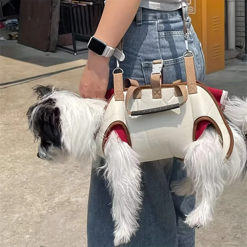 Dogivo™ Adventure Carrier