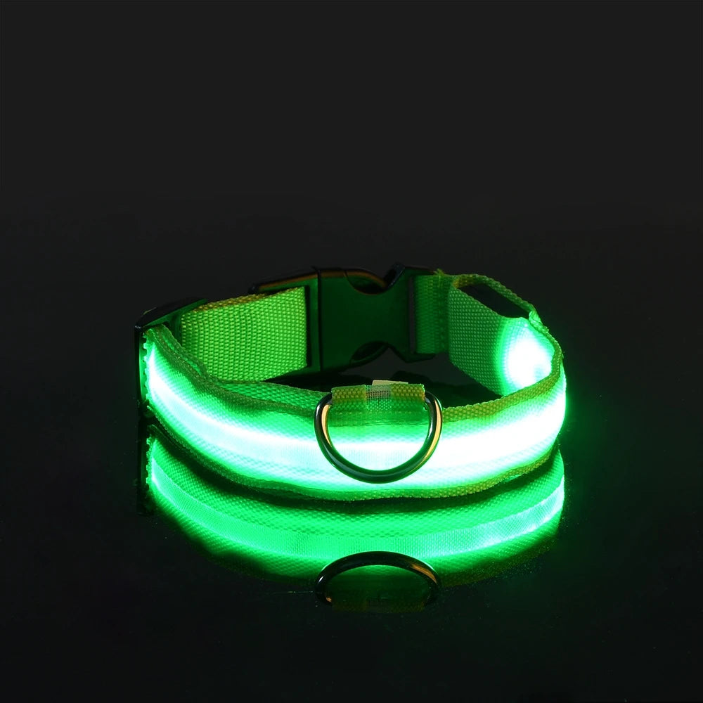 🐶 Dogivo™ Smart LED Dog Leash