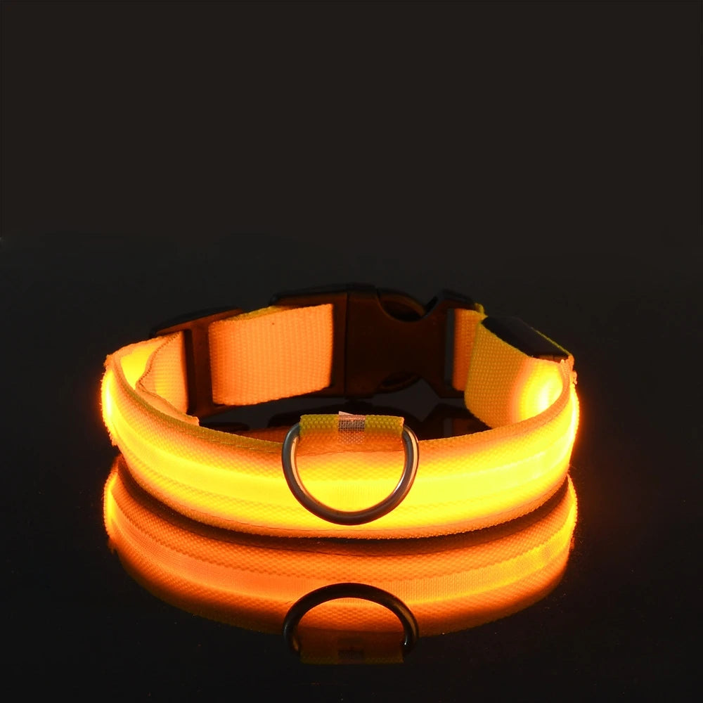 🐶 Dogivo™ Smart LED Dog Leash