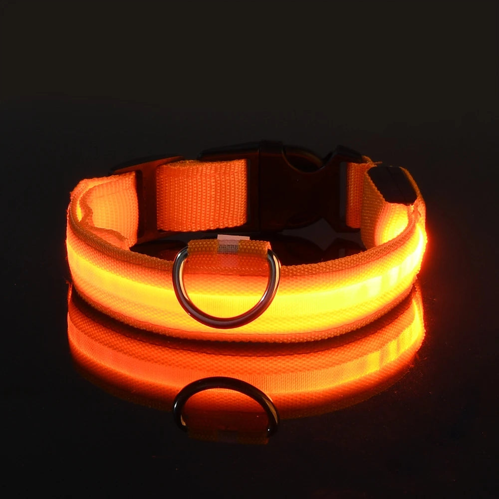 🐶 Dogivo™ Smart LED Dog Leash