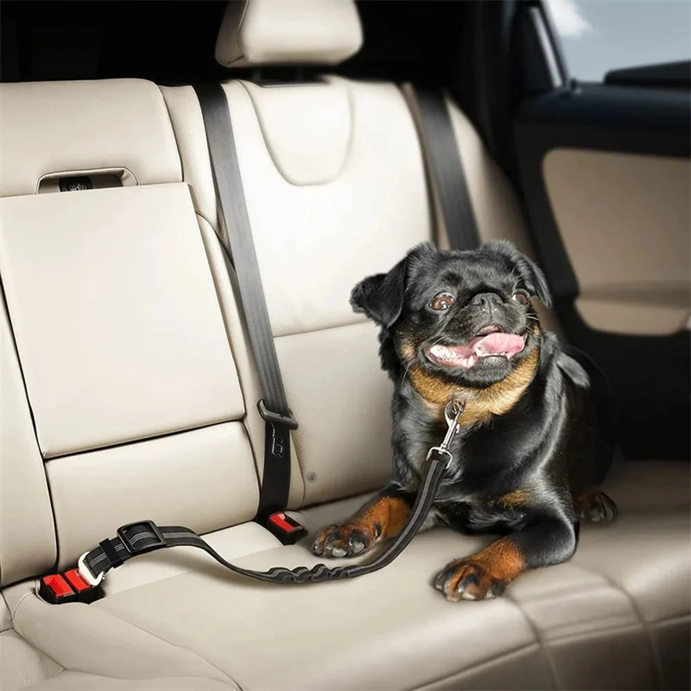 Dogivo™ SafeRide Seat Belt