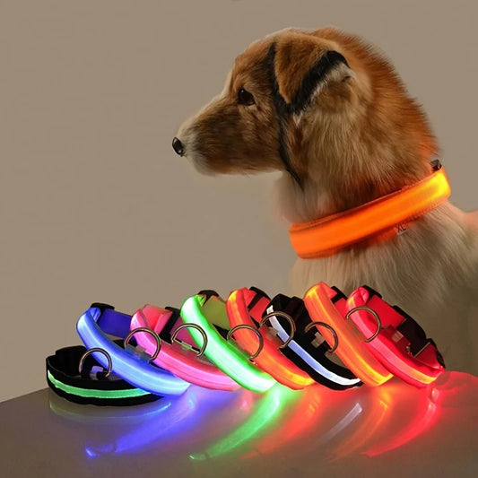🐶 Correa LED inteligente Dogivo™ para perros