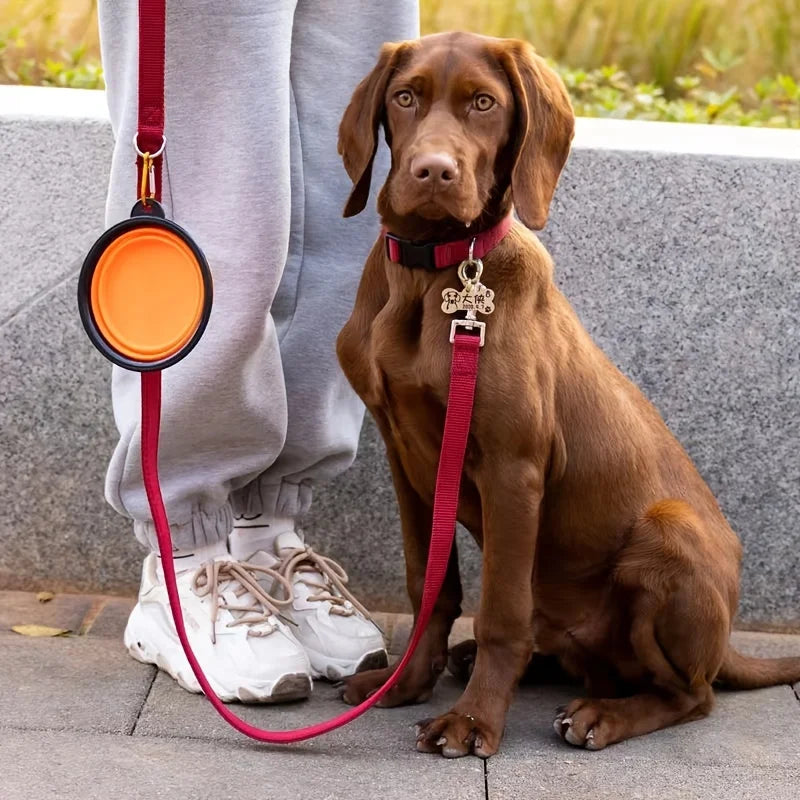 🐶 Dogivo™ Portable Travel Pet Bowl