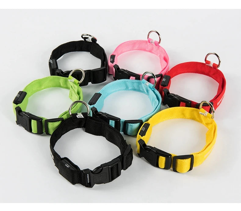 🐶 Dogivo™ Smart LED Dog Leash