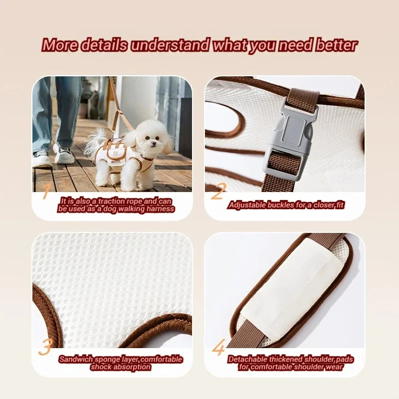 Dogivo™ Adventure Carrier