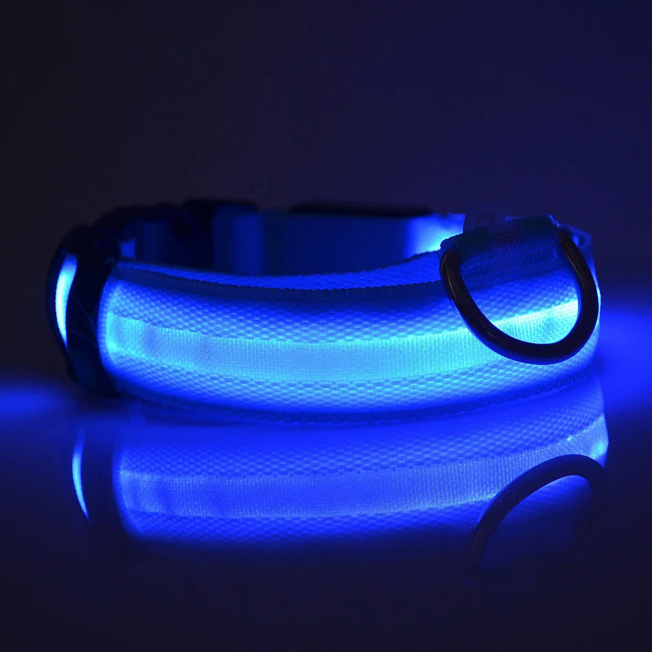 🐶 Dogivo™ Smart LED Dog Leash