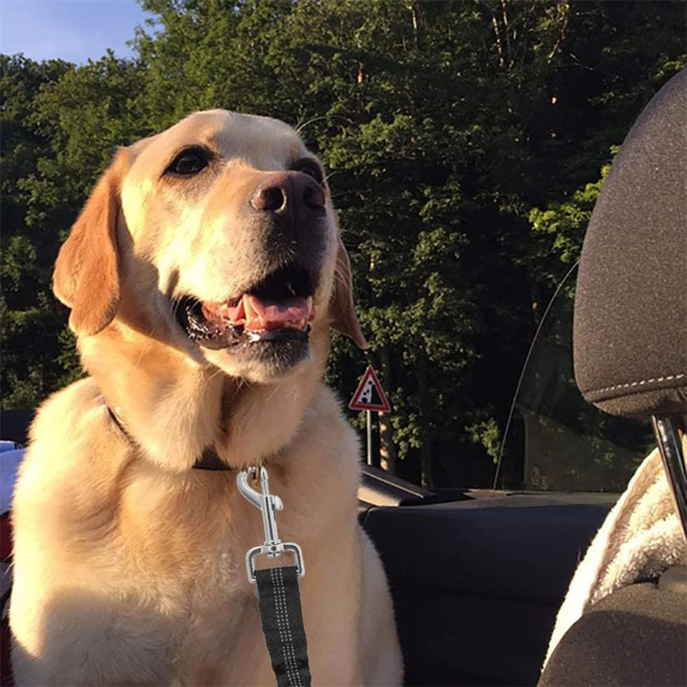 Dogivo™ SafeRide Seat Belt