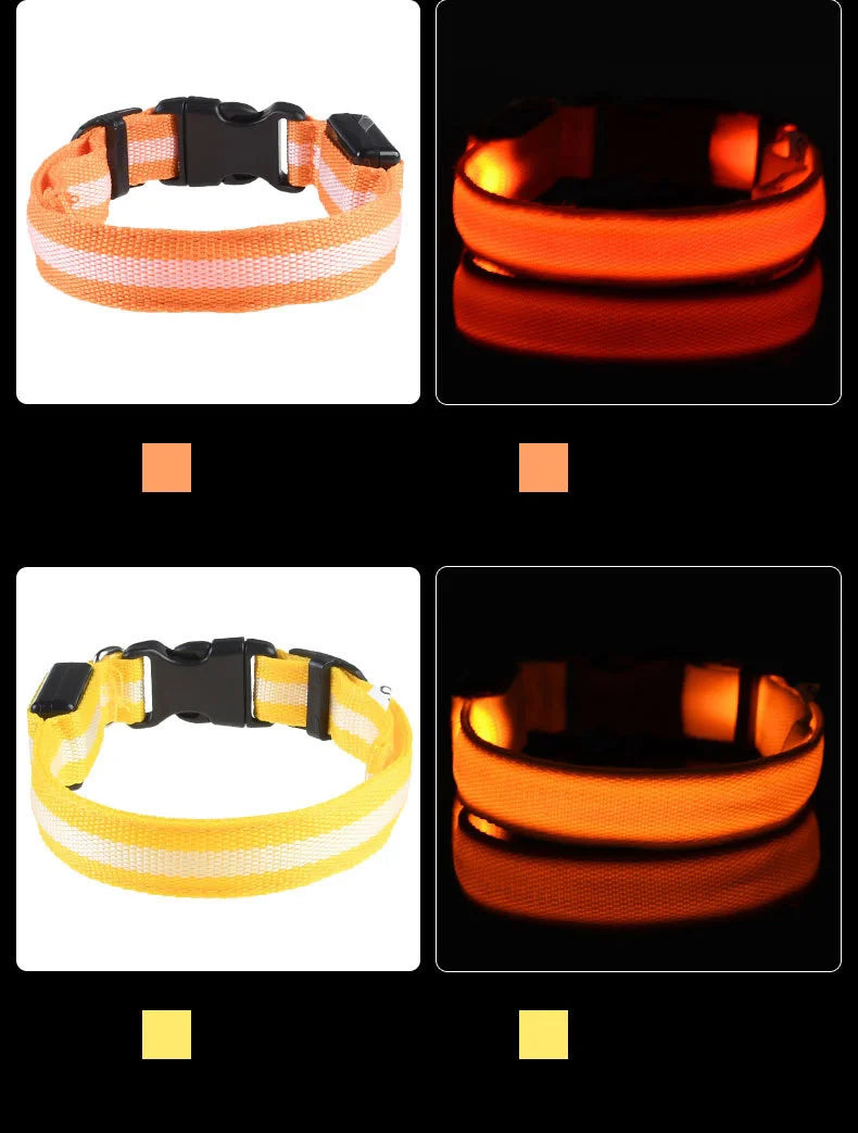 🐶 Dogivo™ Smart LED Dog Leash