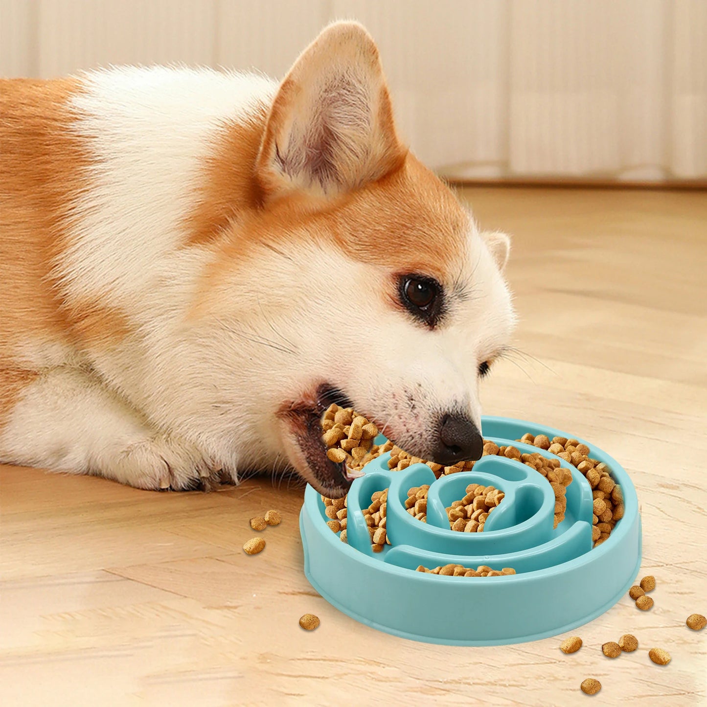 Cuenco de alimentación lenta Dogivo™