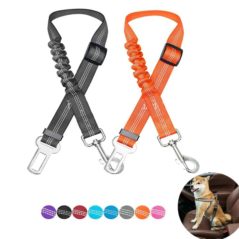Dogivo™ SafeRide Seat Belt