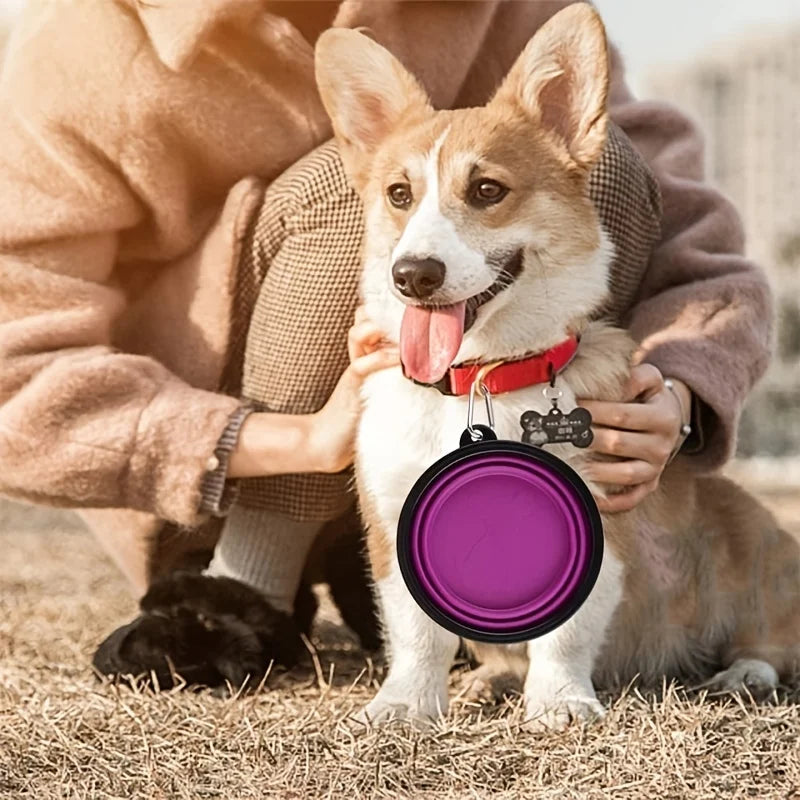 🐶 Dogivo™ Portable Travel Pet Bowl