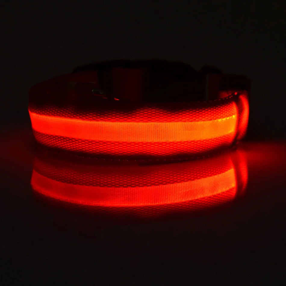 🐶 Dogivo™ Smart LED Dog Leash