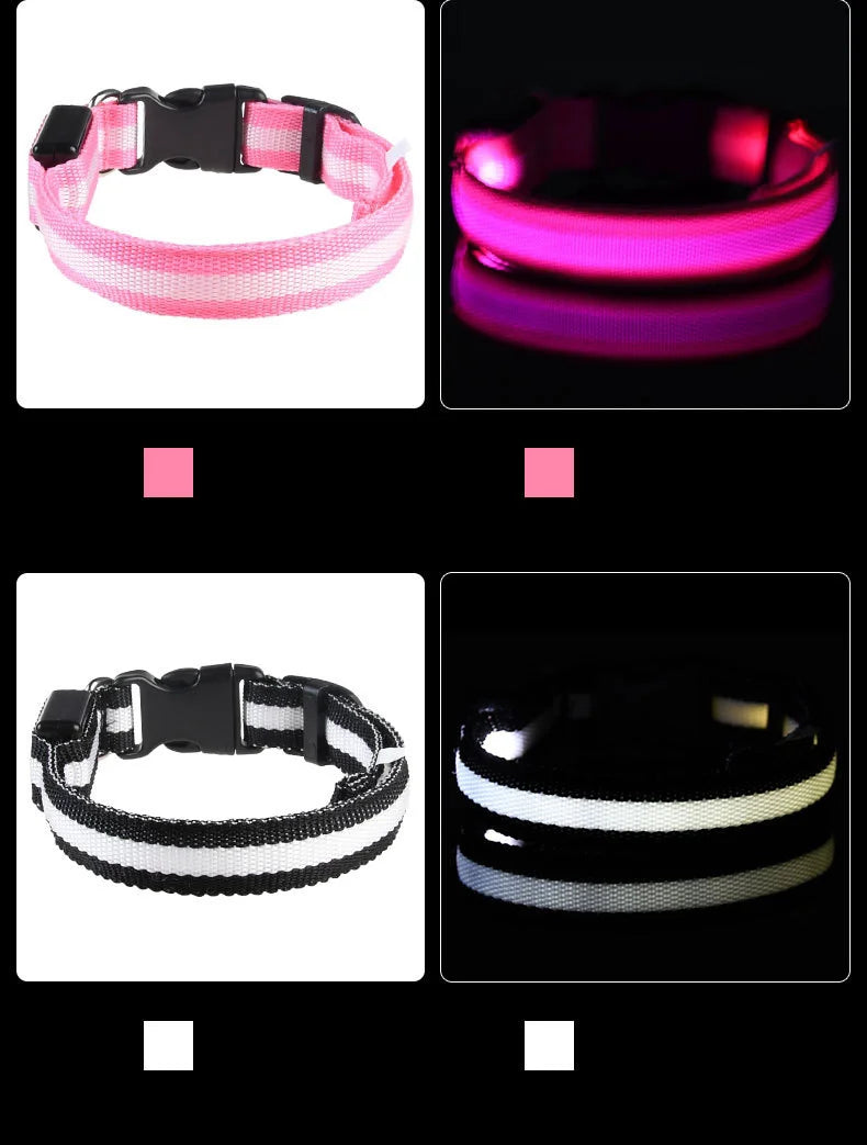 🐶 Dogivo™ Smart LED Dog Leash