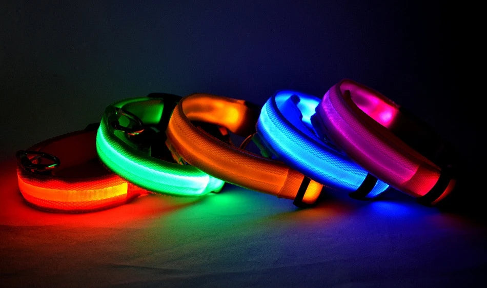🐶 Dogivo™ Smart LED Dog Leash