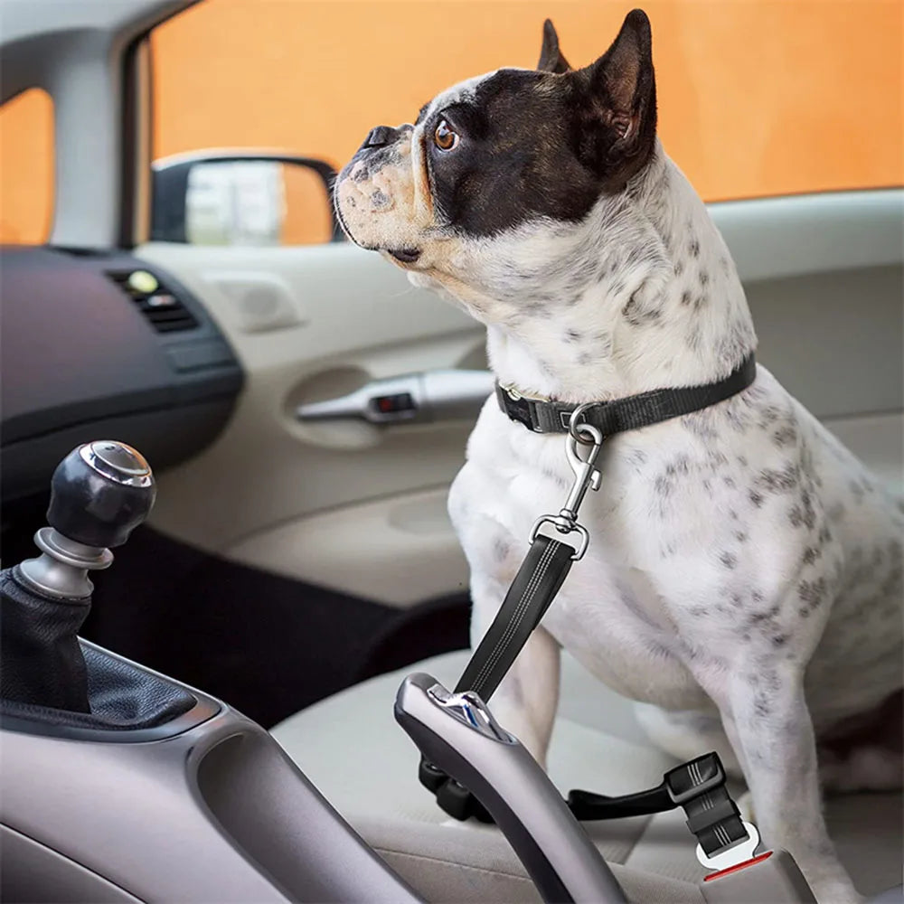 Dogivo™ SafeRide Seat Belt