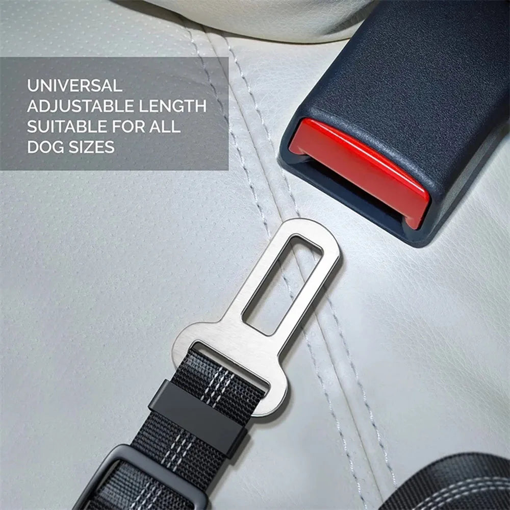 Dogivo™ SafeRide Seat Belt