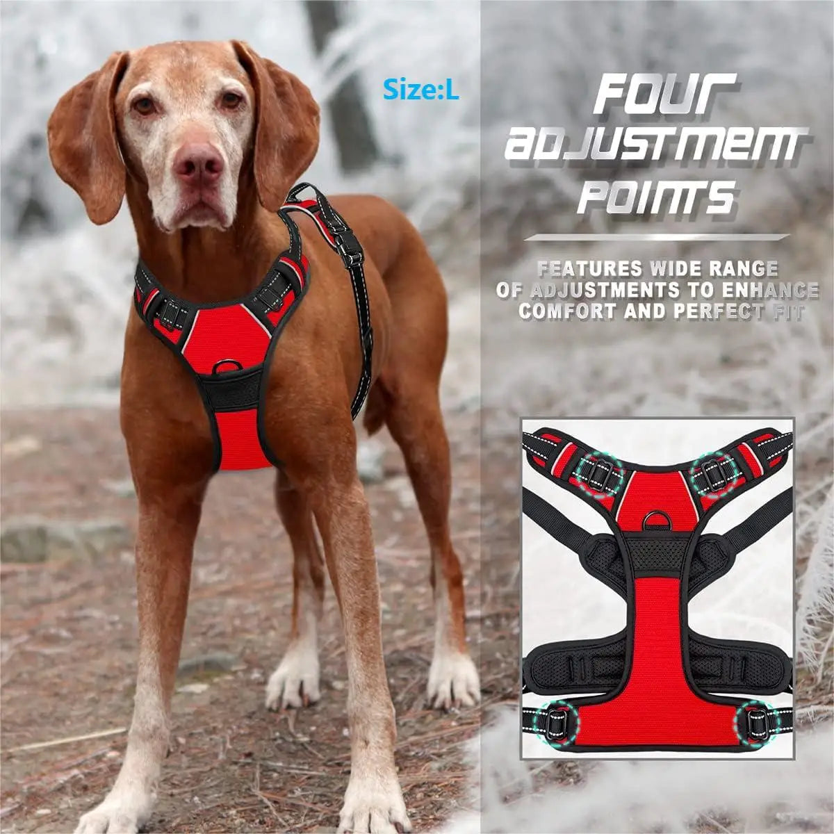 Arnés de Aventura Dogivo™