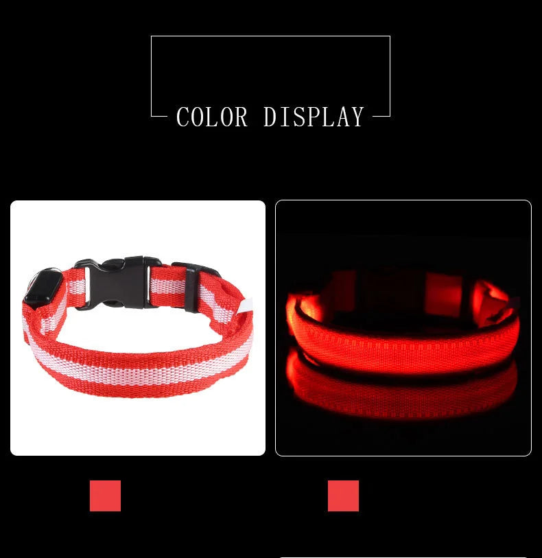 🐶 Dogivo™ Smart LED Dog Leash