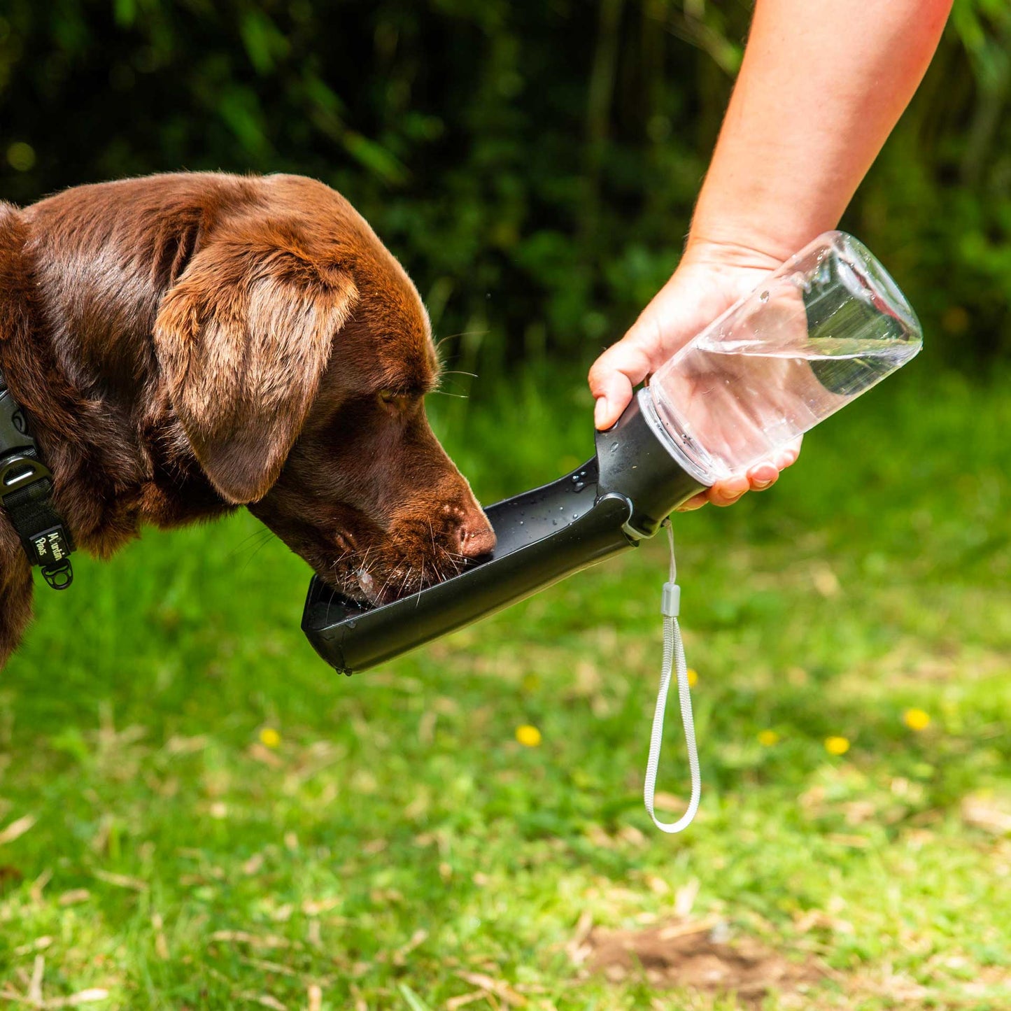 Dogivo™ Botella de Agua Portátil para Perros