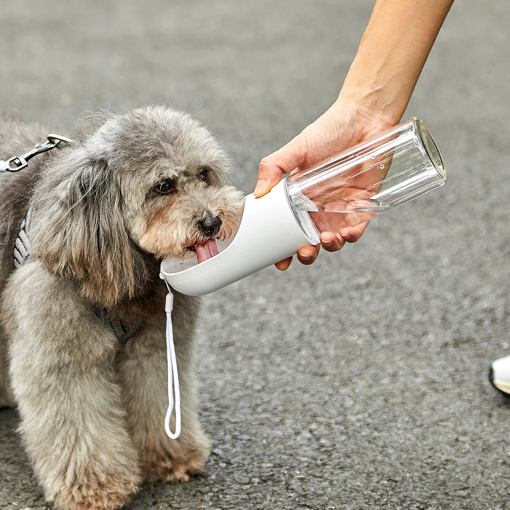 Dogivo™ Botella de Agua Portátil para Perros